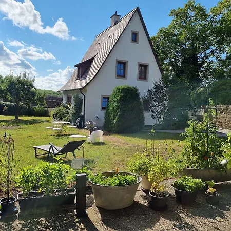 Hotel Boutiquehotel Goldene Rose - Self-check-in