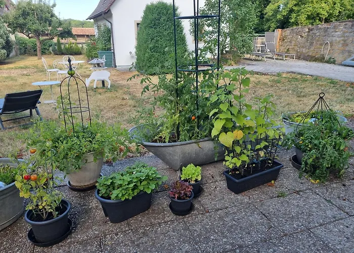 Boutiquehotel Goldene Rose - Self-check-in Hotel 3*