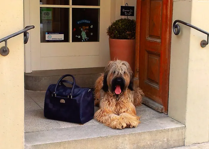 Hotel Boutiquehotel Goldene Rose - Self-check-in 3*