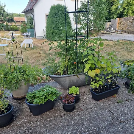 Boutiquehotel Goldene Rose - Self-check-in Hotel 3*