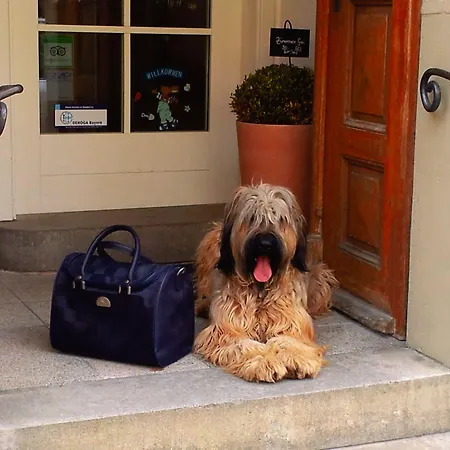 酒店 Boutiquehotel Goldene Rose - Self-check-in 3*