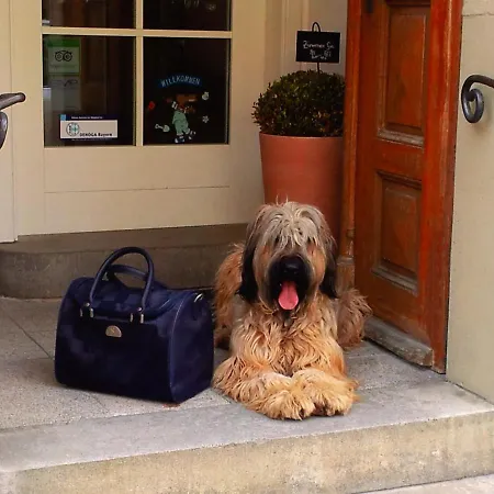 Boutiquehotel Goldene Rose - Self-check-in Hotel Rothenburg ob der Tauber