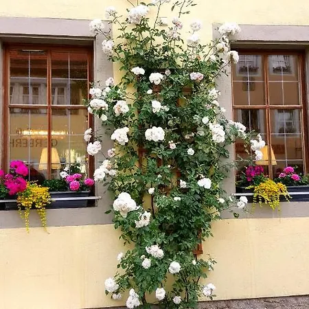Boutiquehotel Goldene Rose - Self-check-in 3* Rothenburg ob der Tauber